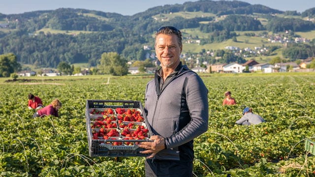 Ländle Produkte — Ländle Erdbeeren vs. Ländle Eier